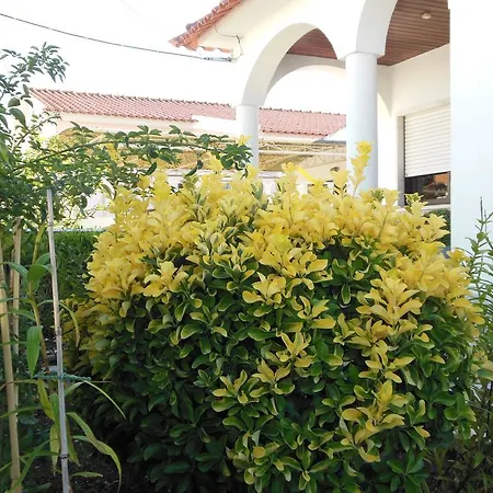 Estoril Alcabideche
